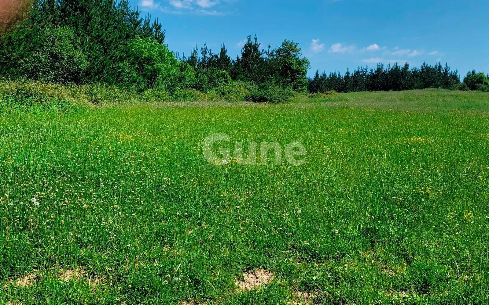 Country homes for sale in Idiazabal
