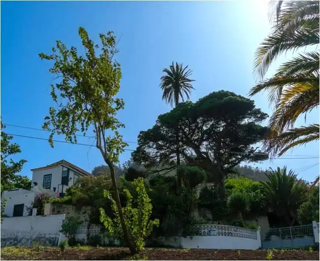 Vista exterior de Casa o xalet en venda en Tegueste amb Jardí privat, Terrassa i Balcó