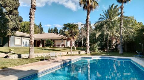 Photo 3 of House or chalet to rent in Camino Cipres, Alicante Golf, Alicante