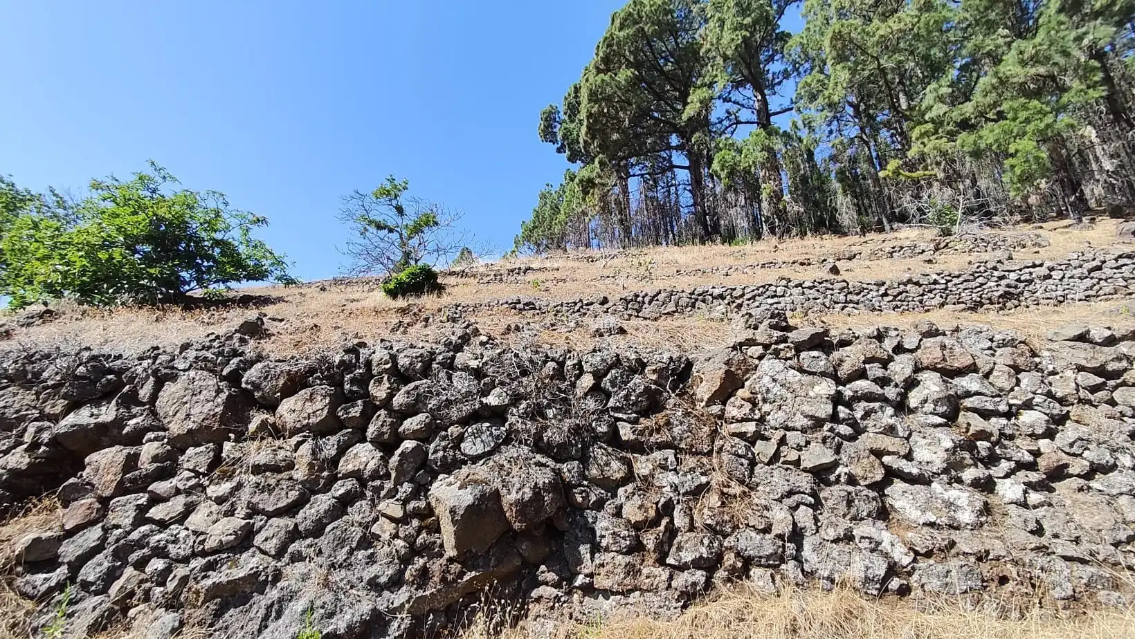 Rural land for sale in Machado - Las Barreras, imagen 10