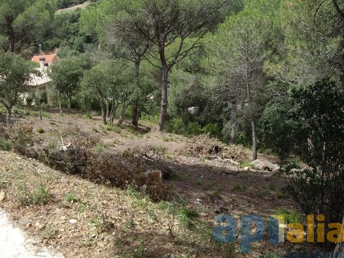 Residential land for sale in Carrer Alzina, imagen 8