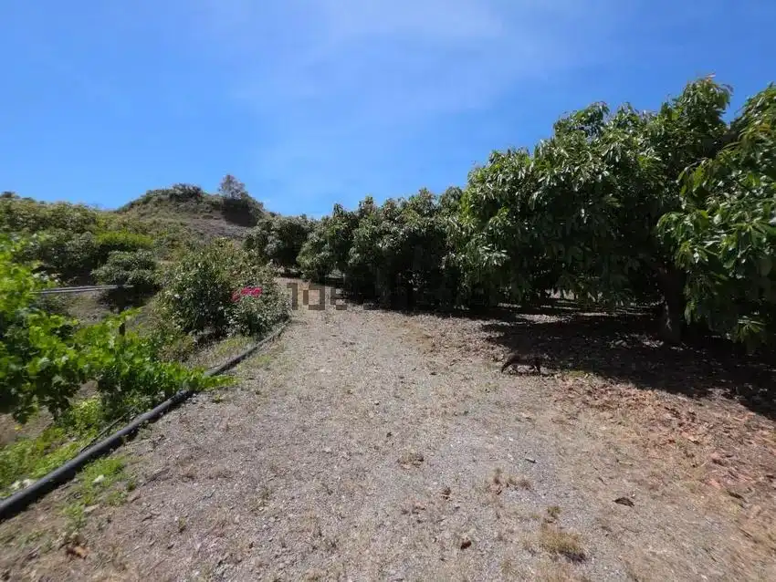 Finca rústica en venda en Vélez-Málaga amb Jardí privat, Terrassa i Piscina