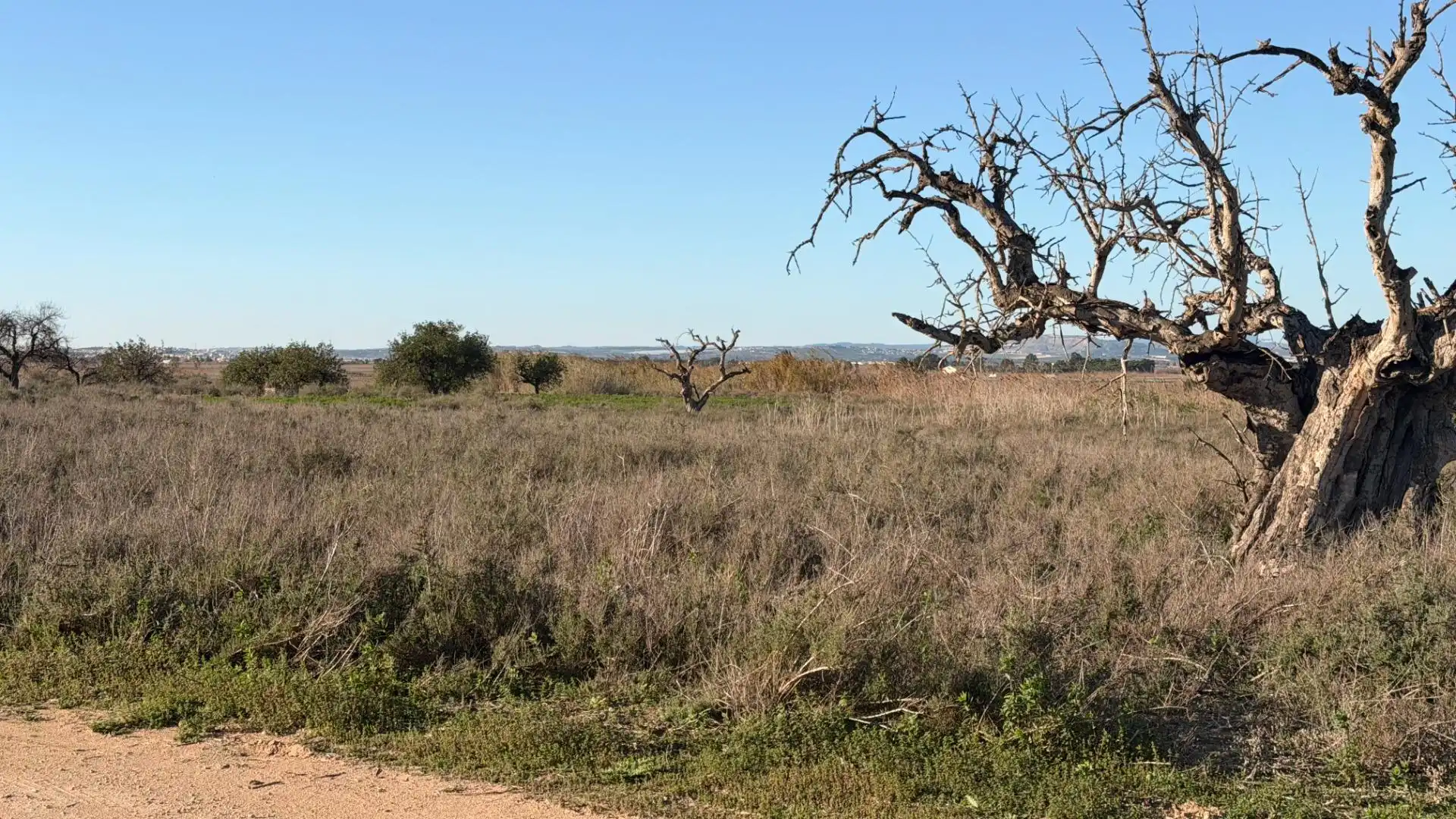 Terreno residencial en venta en La Marina, imagen 44