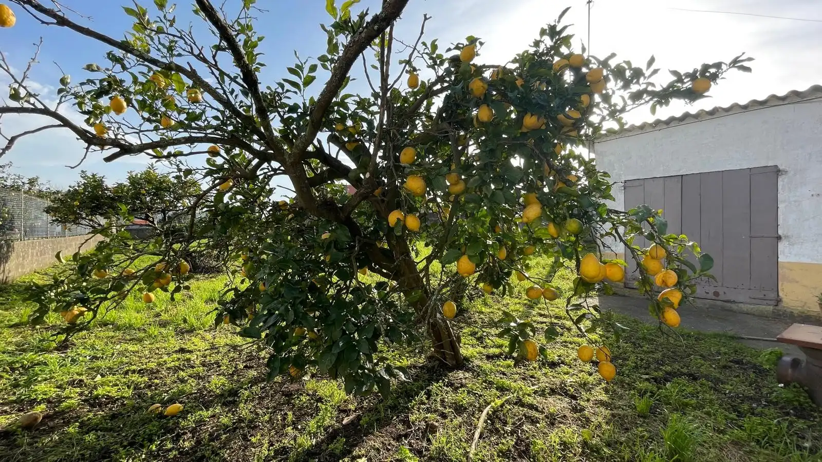 Jardí de Casa o xalet en venda en Narón amb Calefacció, Jardí privat i Traster