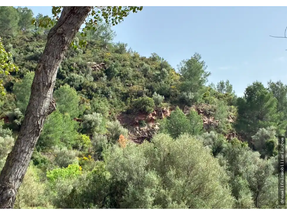 Lands and plots for sale in Borriol, imagen 4