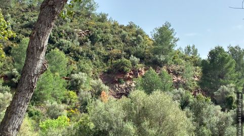 SE VENDE PARCELA  EN PLENA NATURALEZA, immagine 4