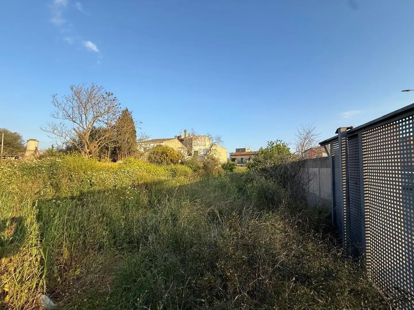 Terreni e lotti in vendita a Campos poble, imagen 6