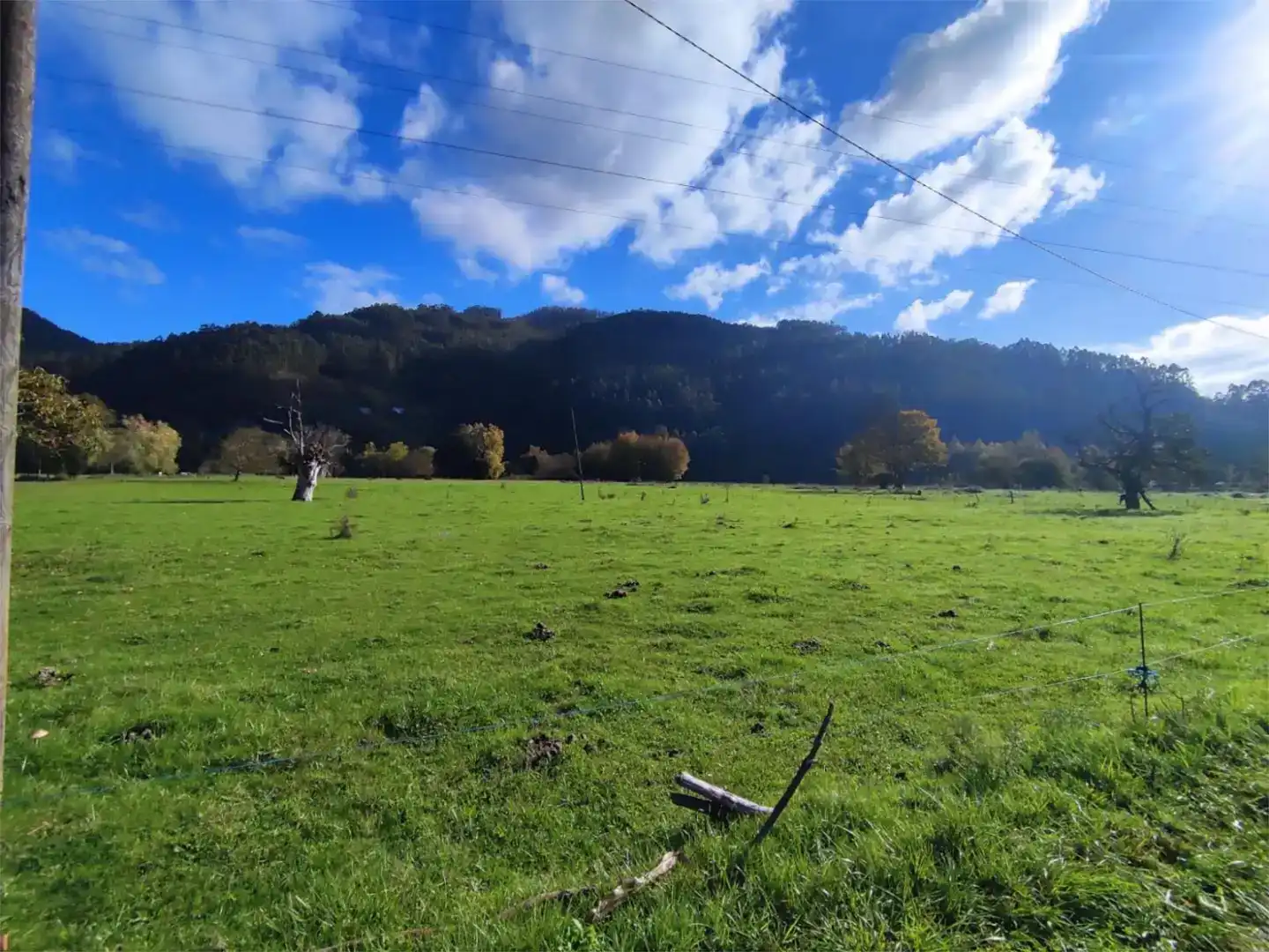 Terreno en venta en Pravia, Asturias