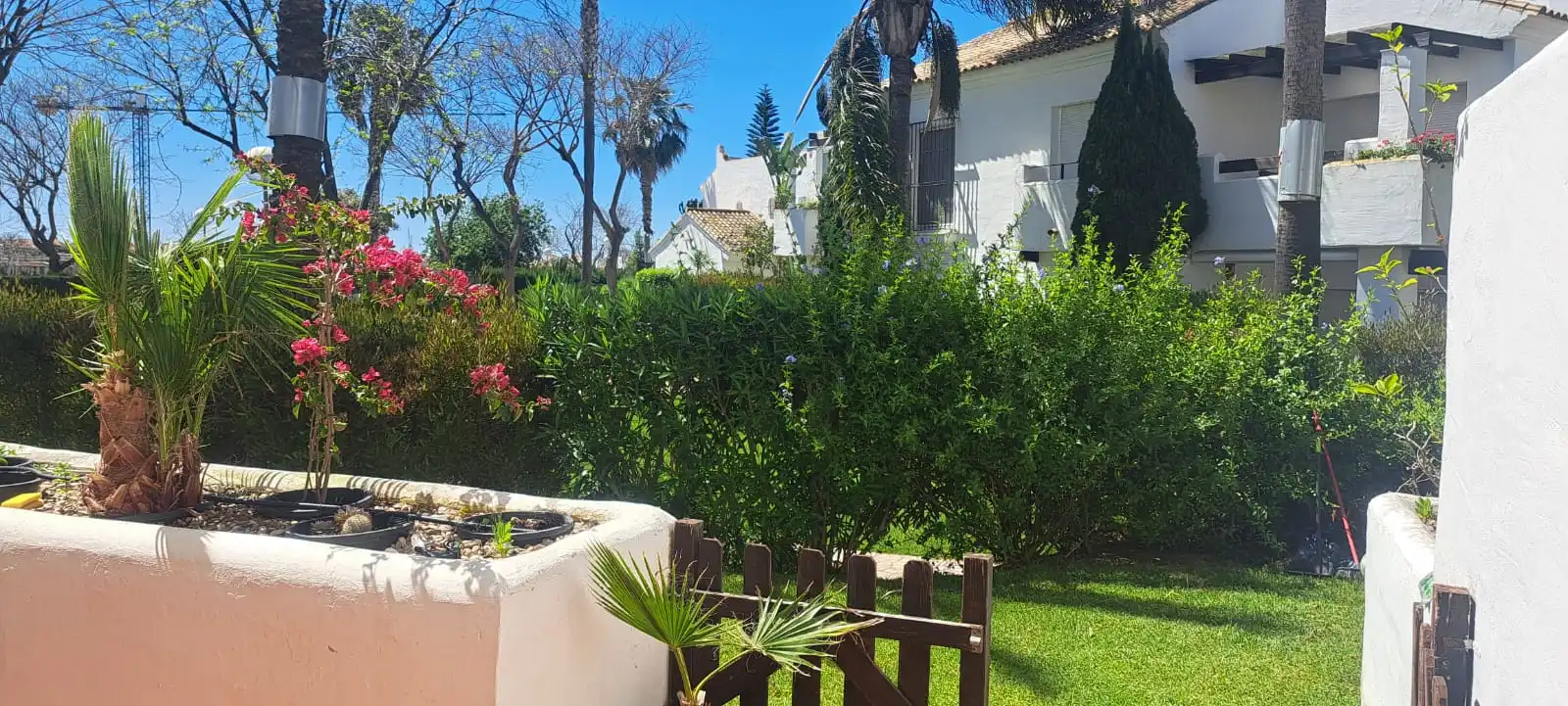 Apartment mit Pool zur Miete in Calle Mozart 3, imagen 3