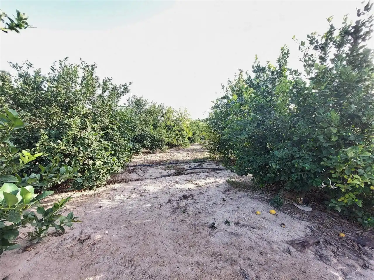 Residencial en venta en Elche / Elx