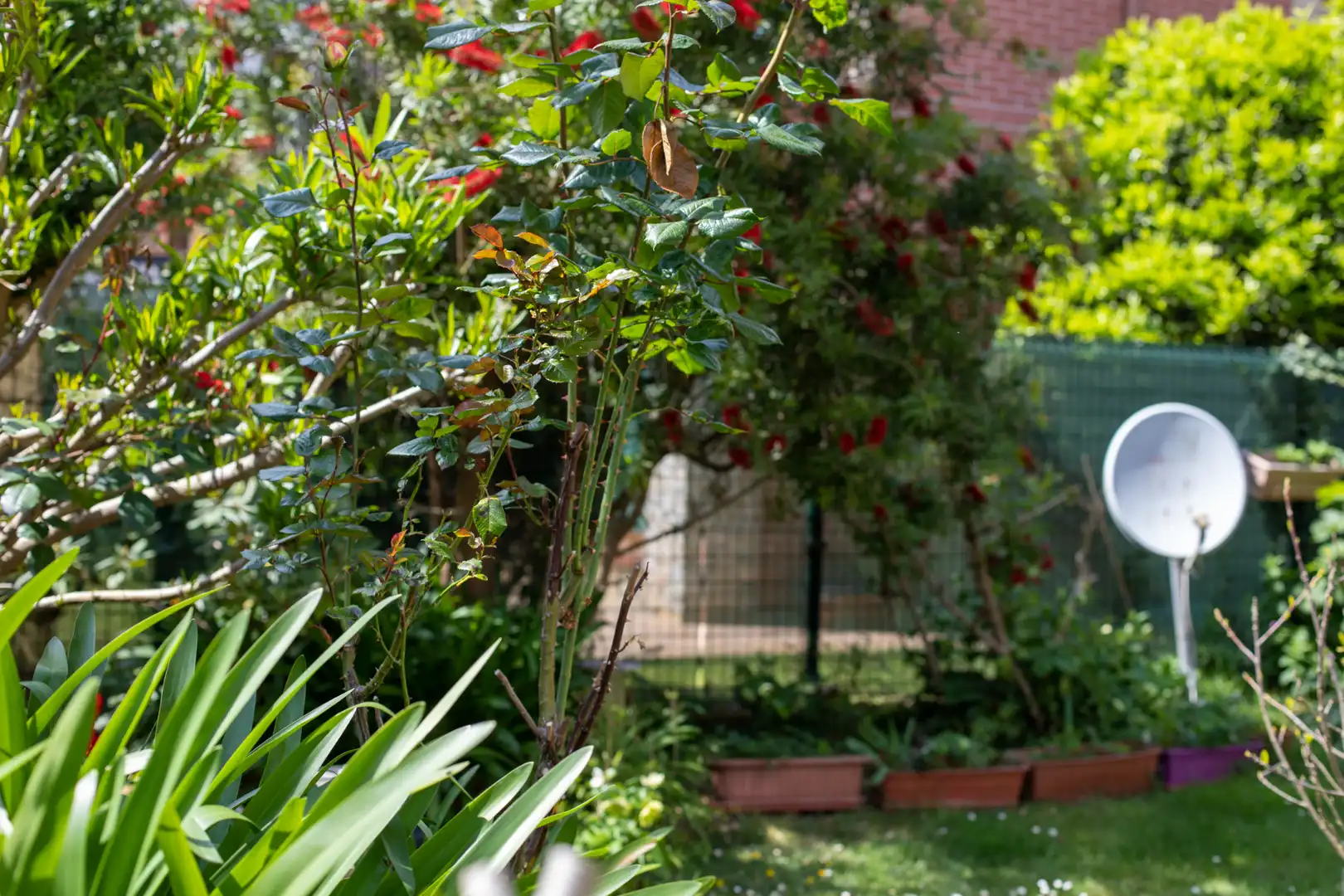 Jardí de Casa o xalet en venda en Piélagos amb Calefacció, Jardí privat i Terrassa