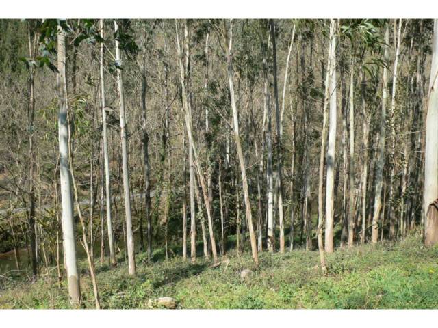 Terreno en Venta en Trucios-Turtzioz