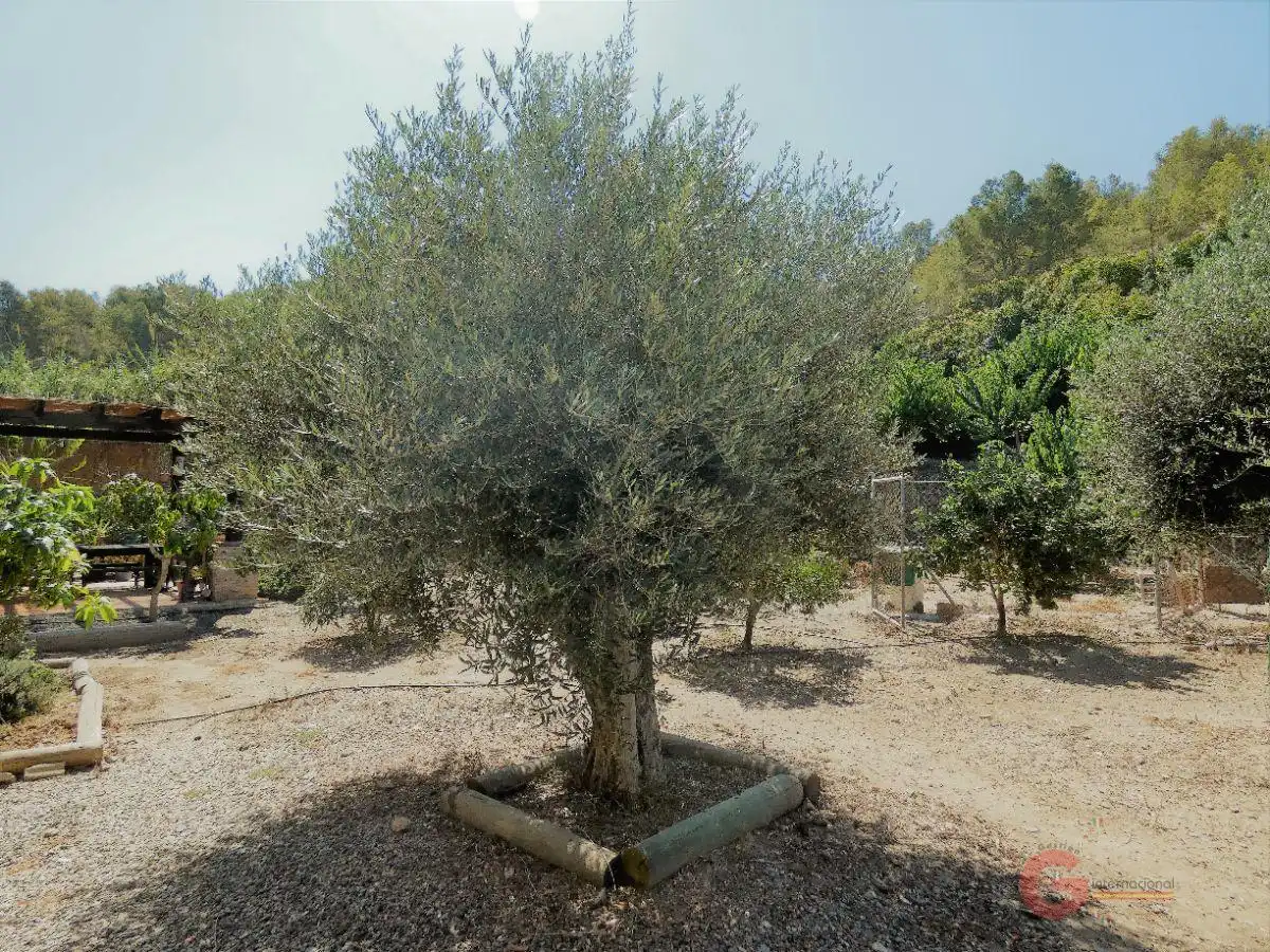 Casa o xalet en venda a Torrenueva Costa