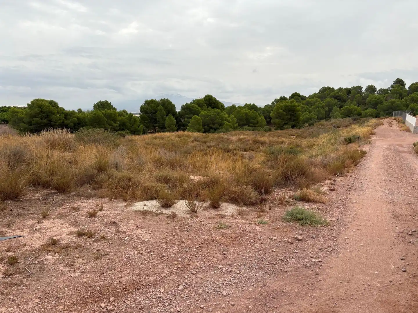 Terreni e lotti in vendita a Alhama de Murcia ciudad, imagen 2