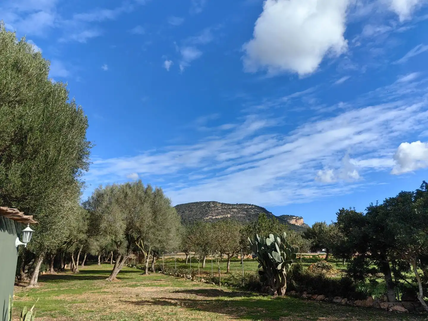 Casa rústica amb jardí en venda a Cami des coix carro 1, imagen 14