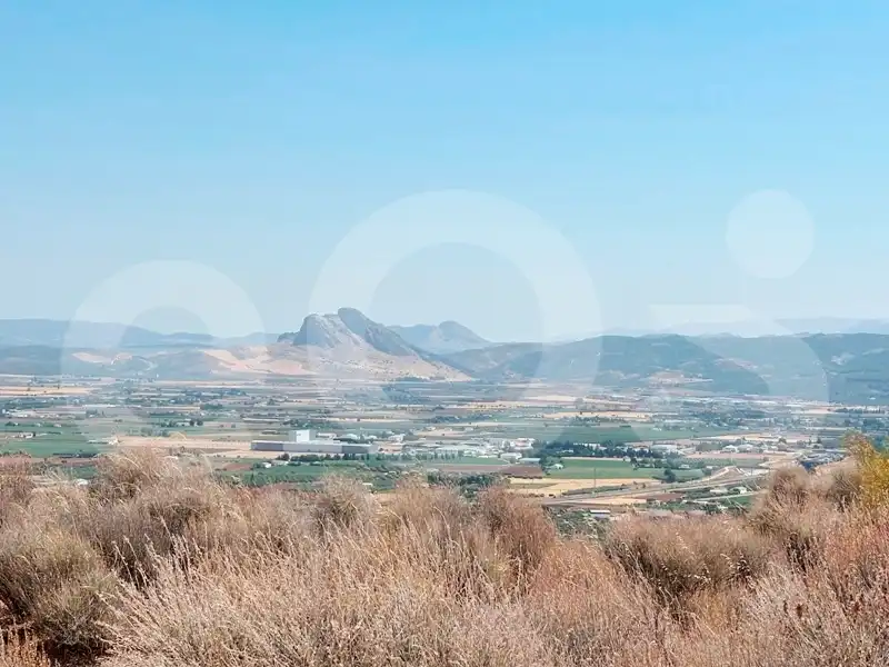Exterior view of Residential for sale in Antequera