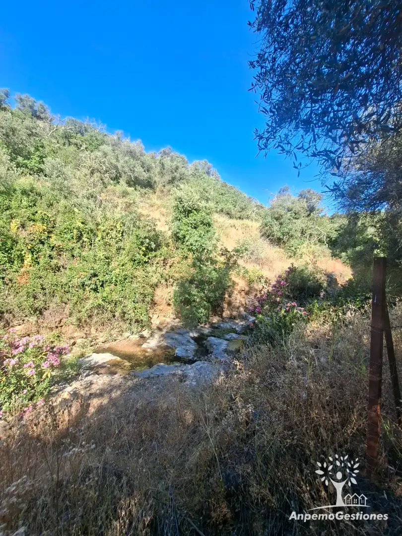 Land for sale in Las Navas de la Concepción