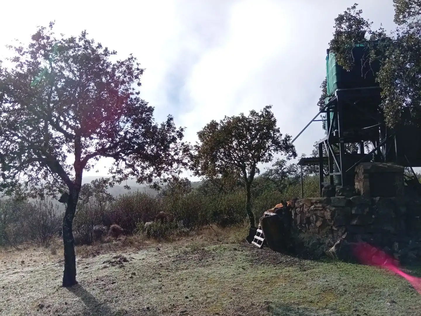 Finca rústica en venta en Pedroche