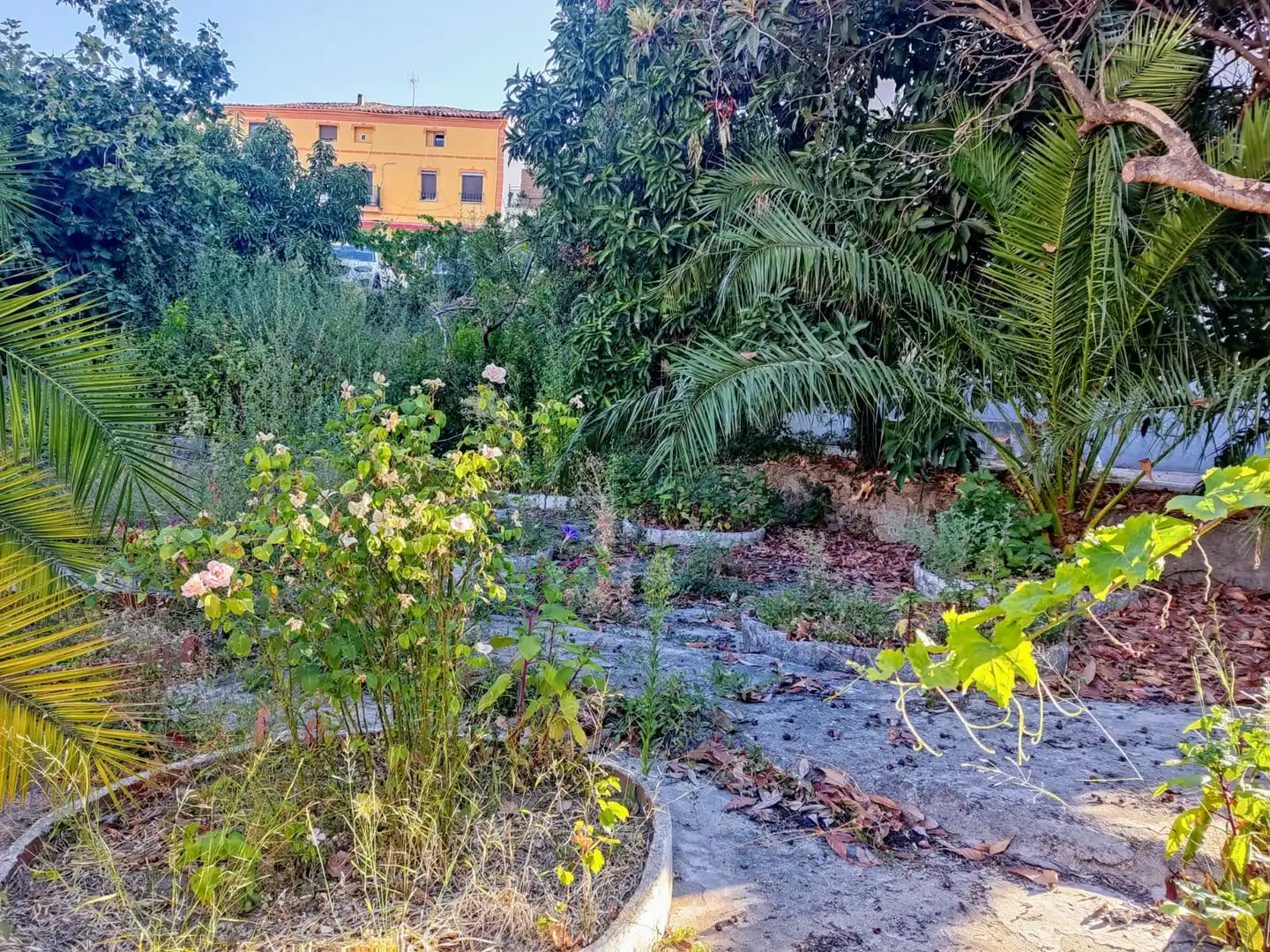 Casa o xalet en venda en Jarandilla de la Vera amb Jardí privat