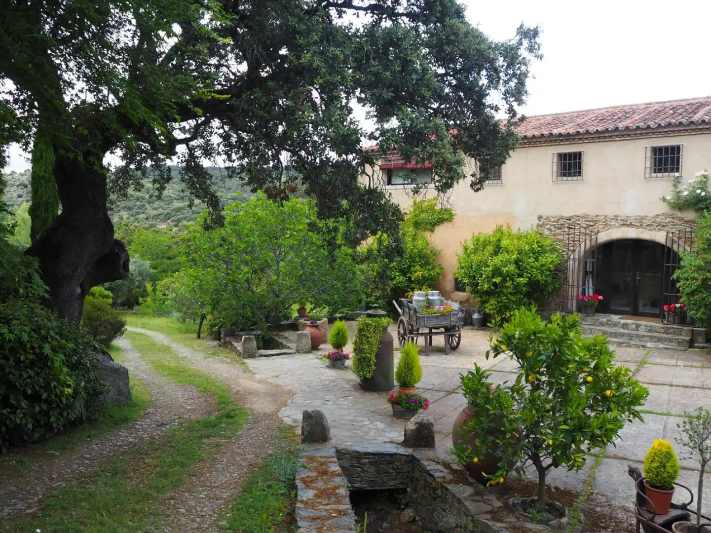 Houses for sale in Madroñera - LAS ANIMAS, Madroñera