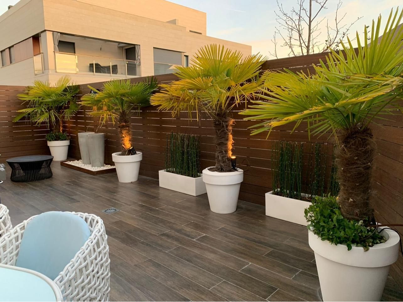 Planta baja to rent in Aravaca