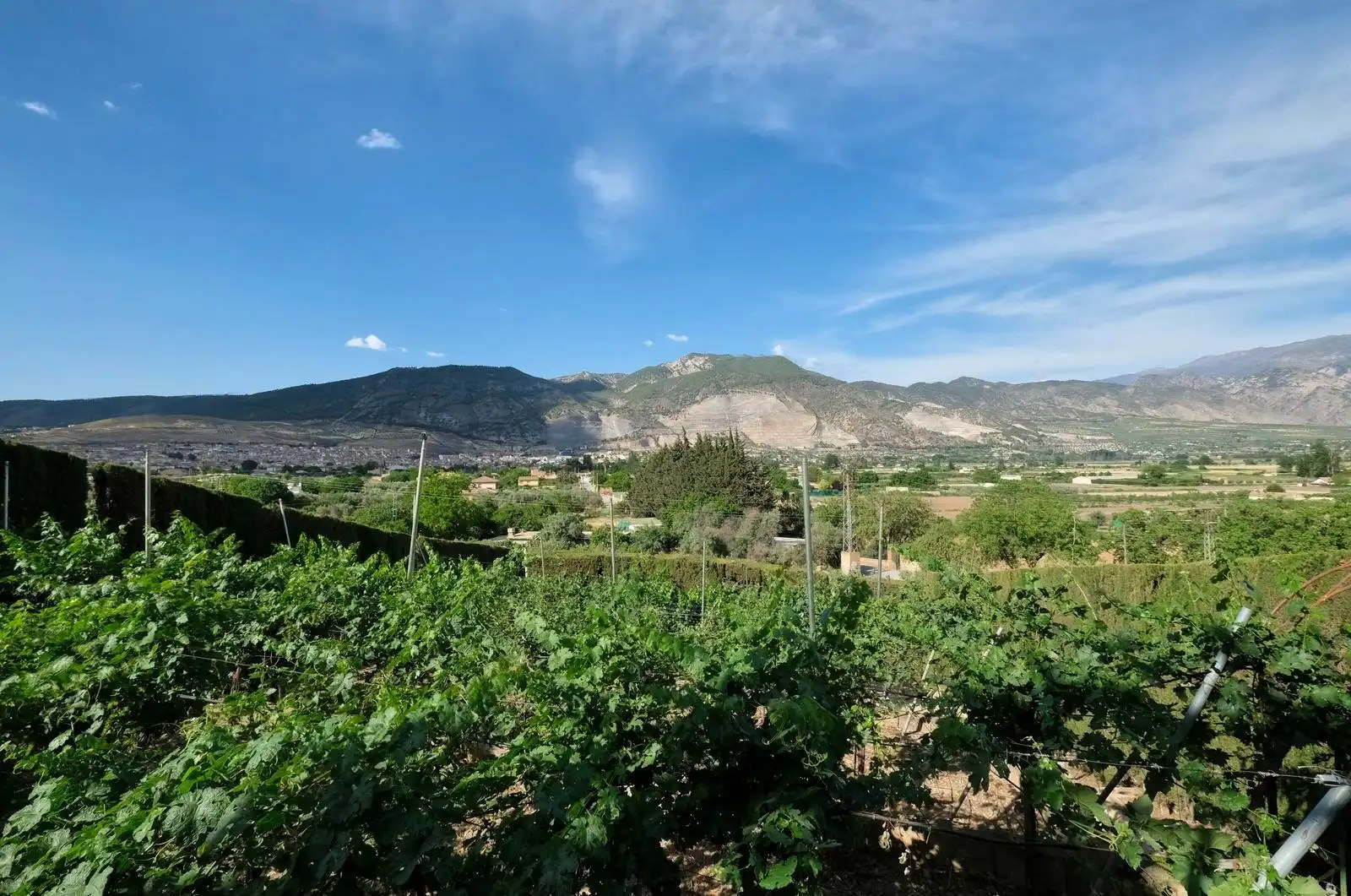 Xalet en venda a Padul, imagen 29