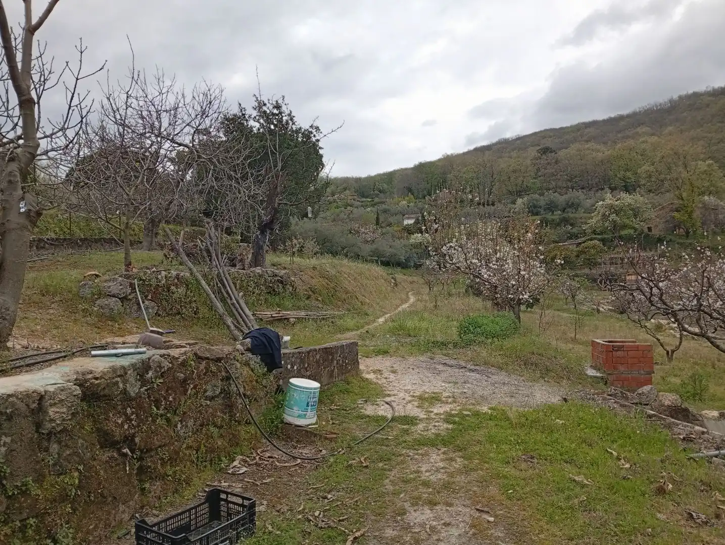 Terreni e lotti in vendita a Villanueva de la Vera, imagen 18