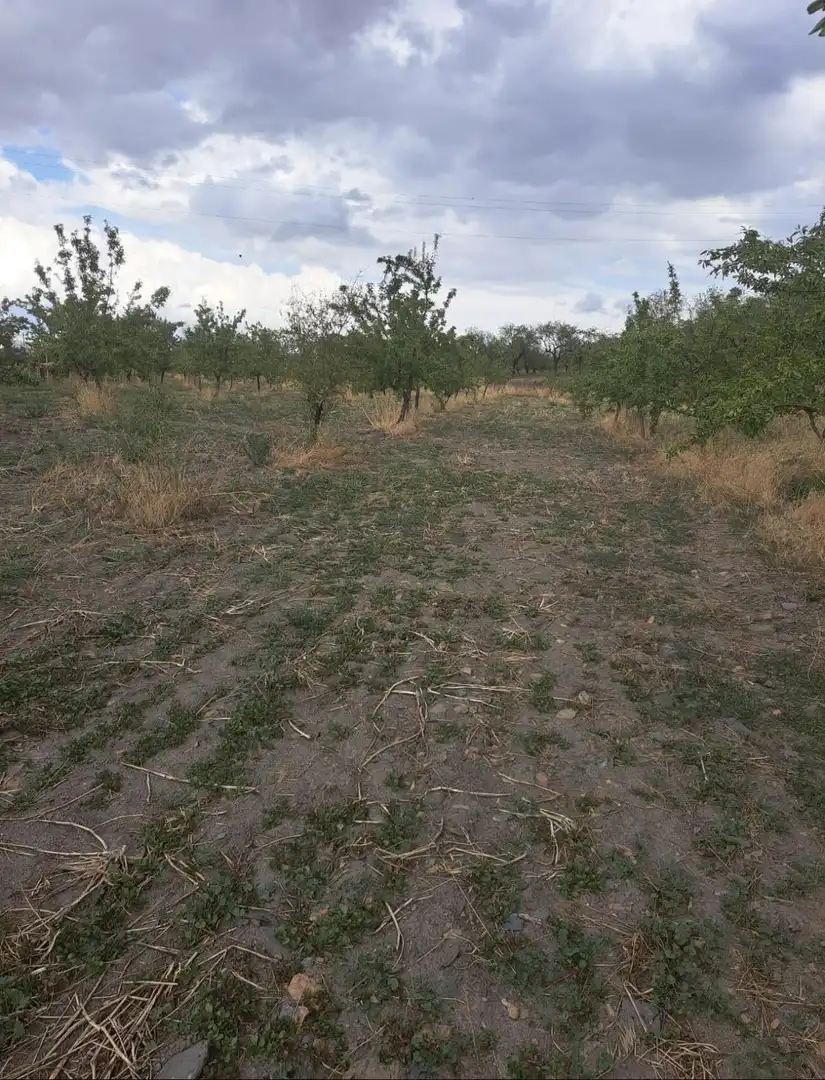 Lands and plots for sale in Lanteira, imagen 6