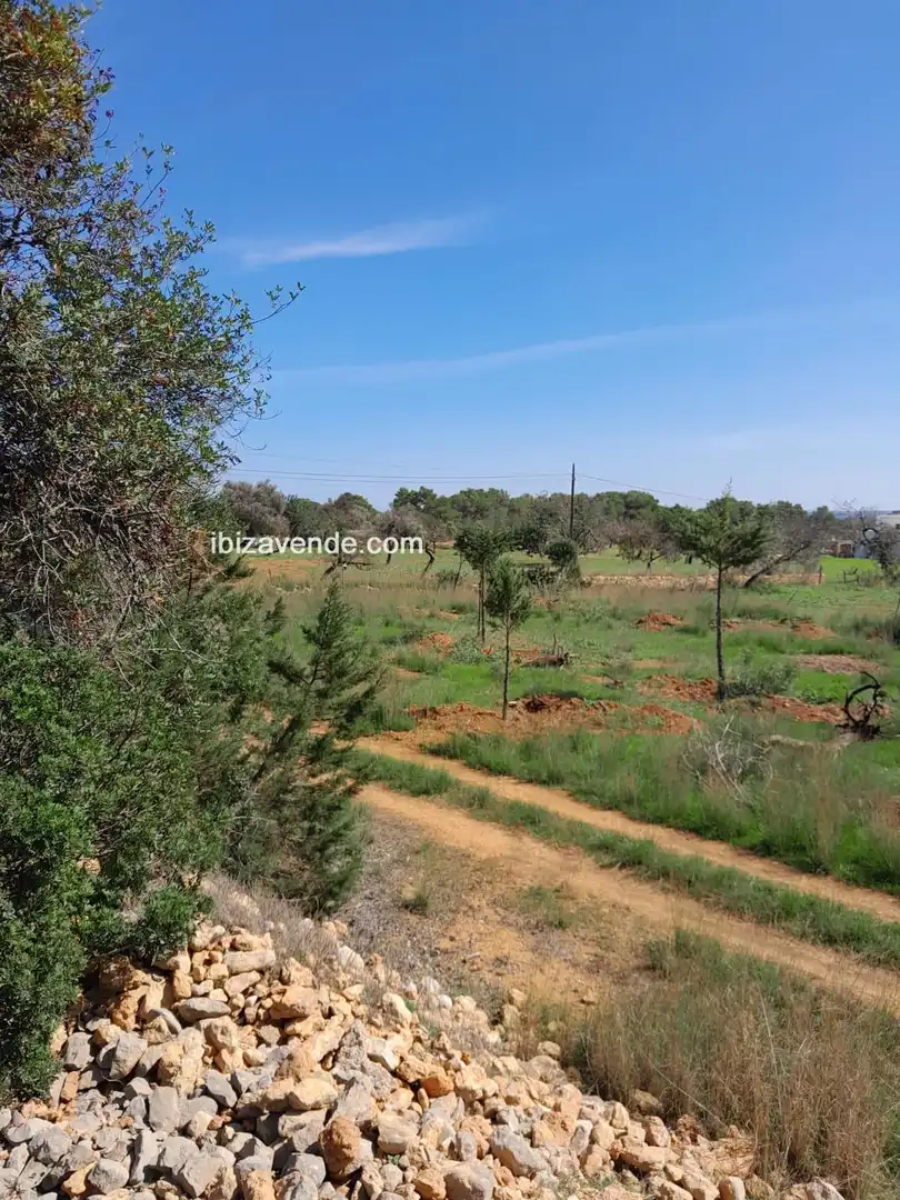 Terreno en venta en Es Canar, Sant Carles
