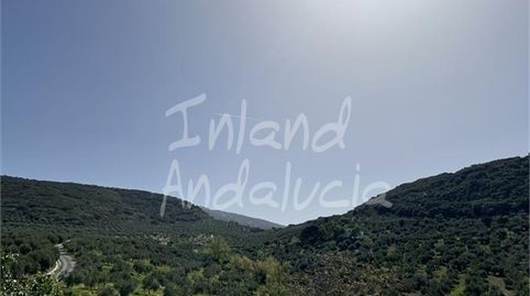 Foto 3 de Finca rústica en venta en Castillo de Locubín, Jaén