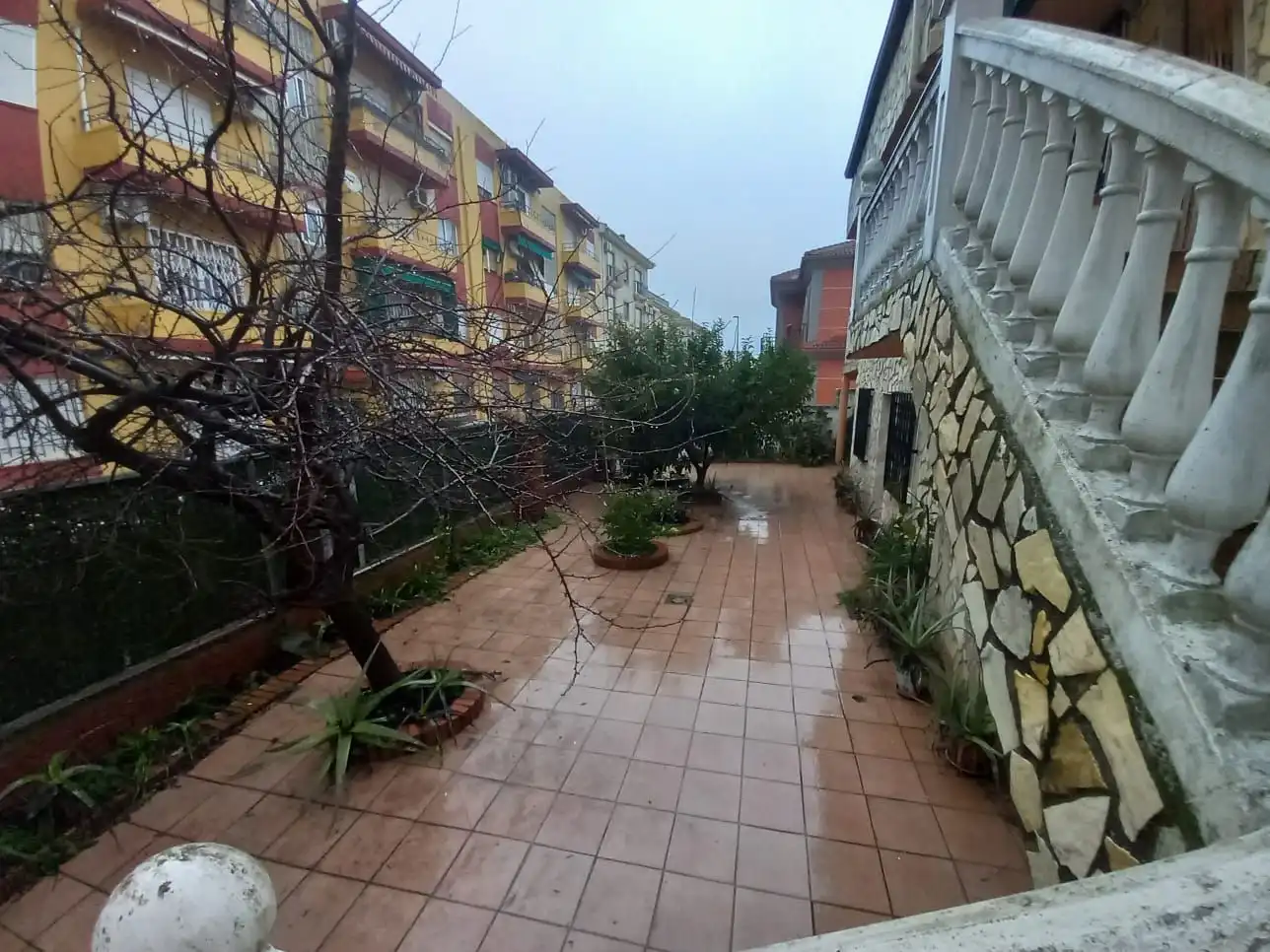 Casa con terrazza in vendita a Linarejos, imagen 6