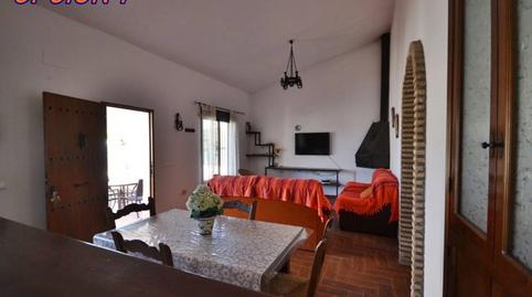 Foto 4 de Finca rústica en venda a Hijuela de la Mirla, 1, Conil, Cádiz