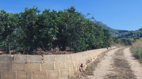 Foto 3 de Terreno en venta en Pl. Poligono 11, Urbanitzacions i Pedanies Nord, Alzira