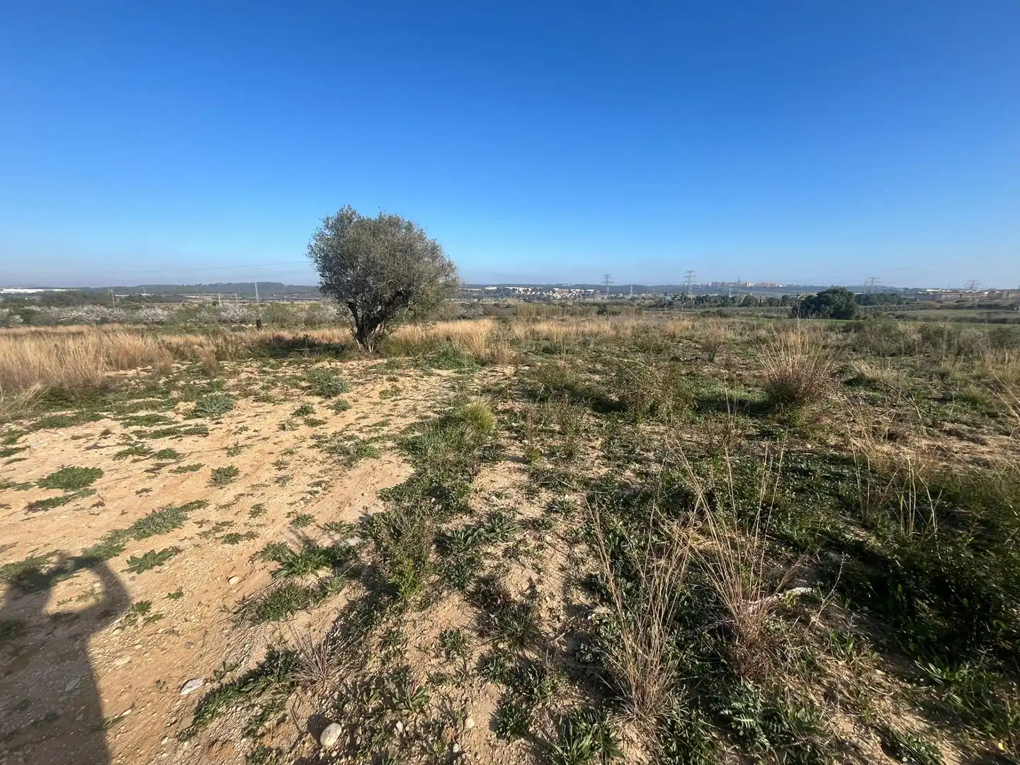 Rural land for sale in Constantí, imagen 3