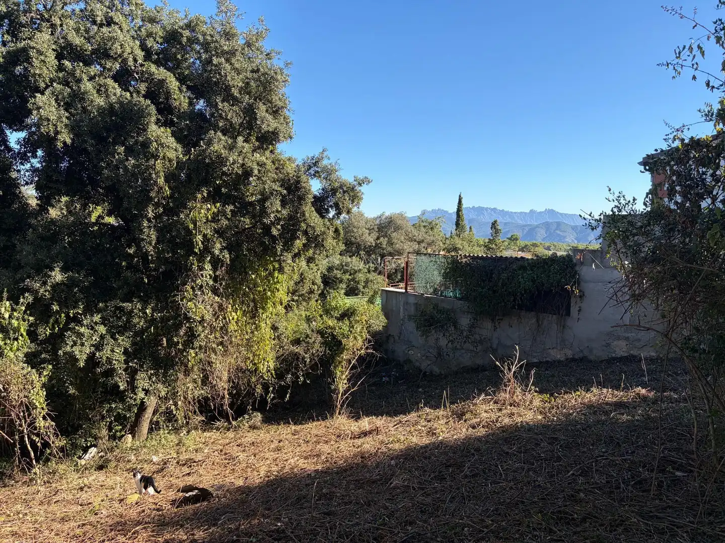 Residential land for sale in Carrer de l'Anoia 1451, imagen 4