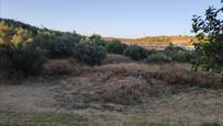 Residencial en venda a CAMINO DE LA VIRGEN, Coria, imagen 1