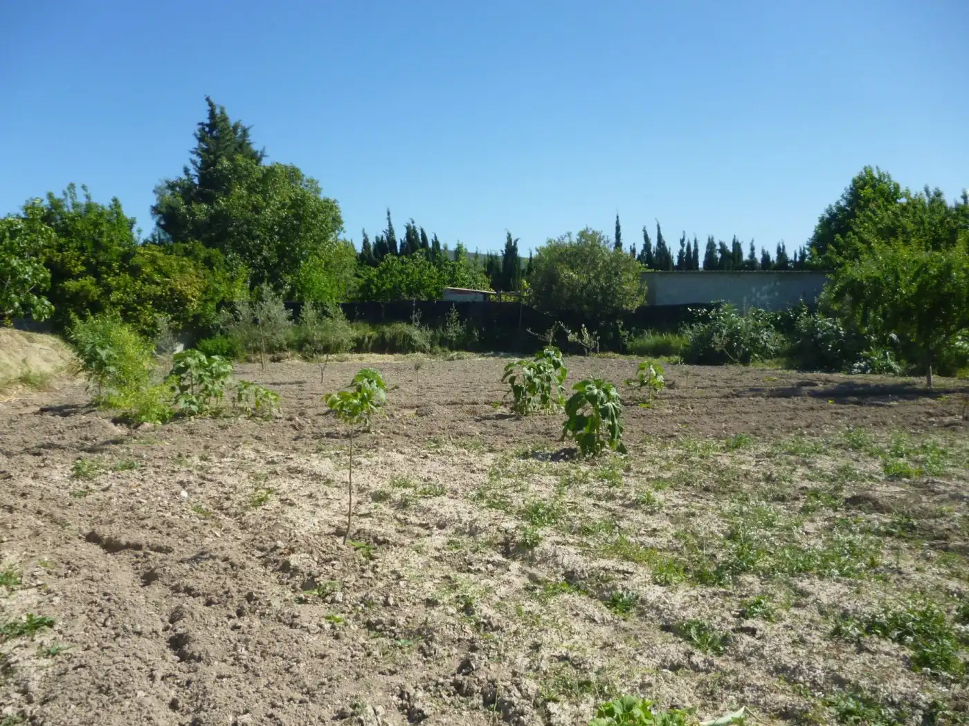 Terrain rustique à vendre à Sant Josep - Zona Hospital, imagen 7