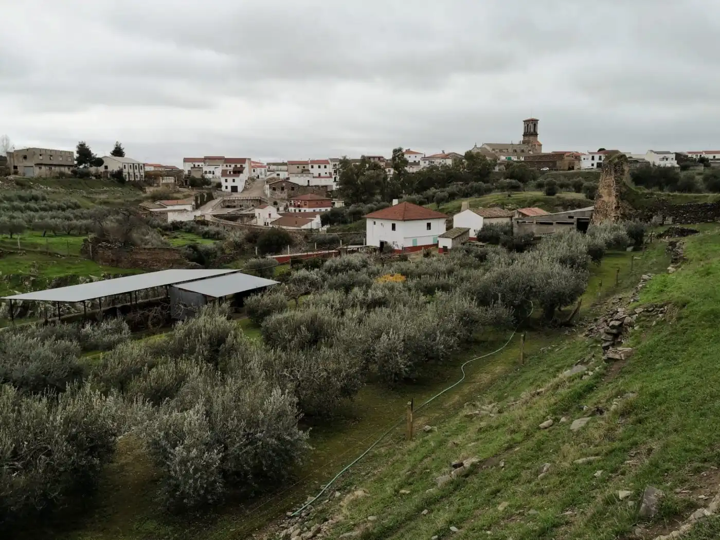 Vista exterior de Finca rústica en venta en Belalcázar