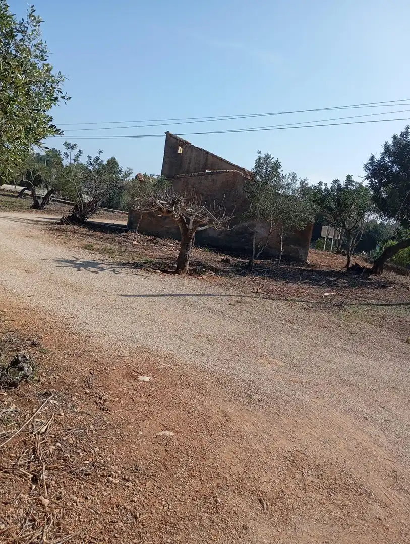 Finca rústica en venta en L'Ampolla