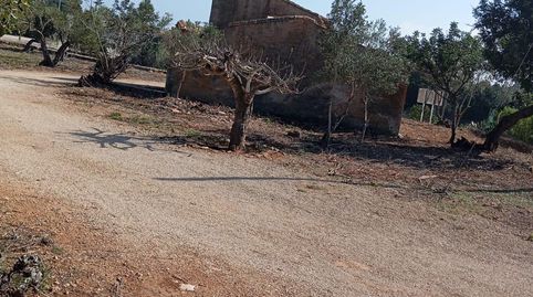 Foto 3 de Finca rústica en venda a Carrer Avinguda de Rafael Llaó Subirats, L'Ampolla, Tarragona