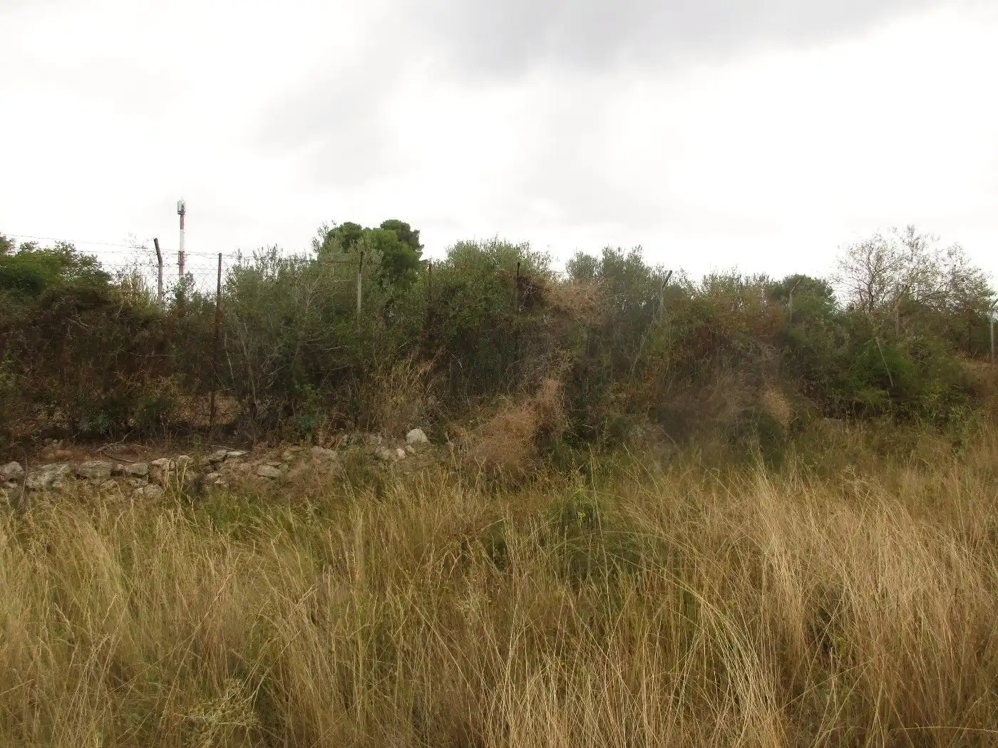Wohnbaugrundstück zum Verkauf in Carretera Institut Pere Mata 1, imagen 35