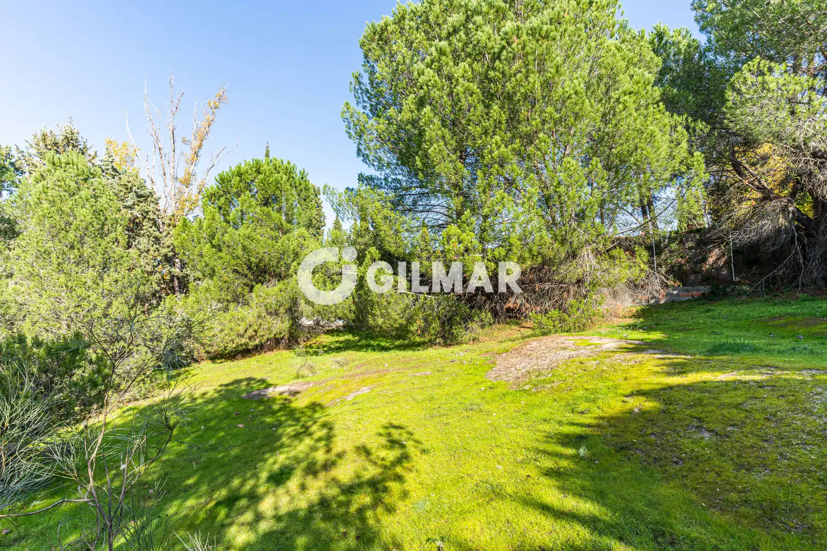 Casa o xalet en venda en Monte Rozas