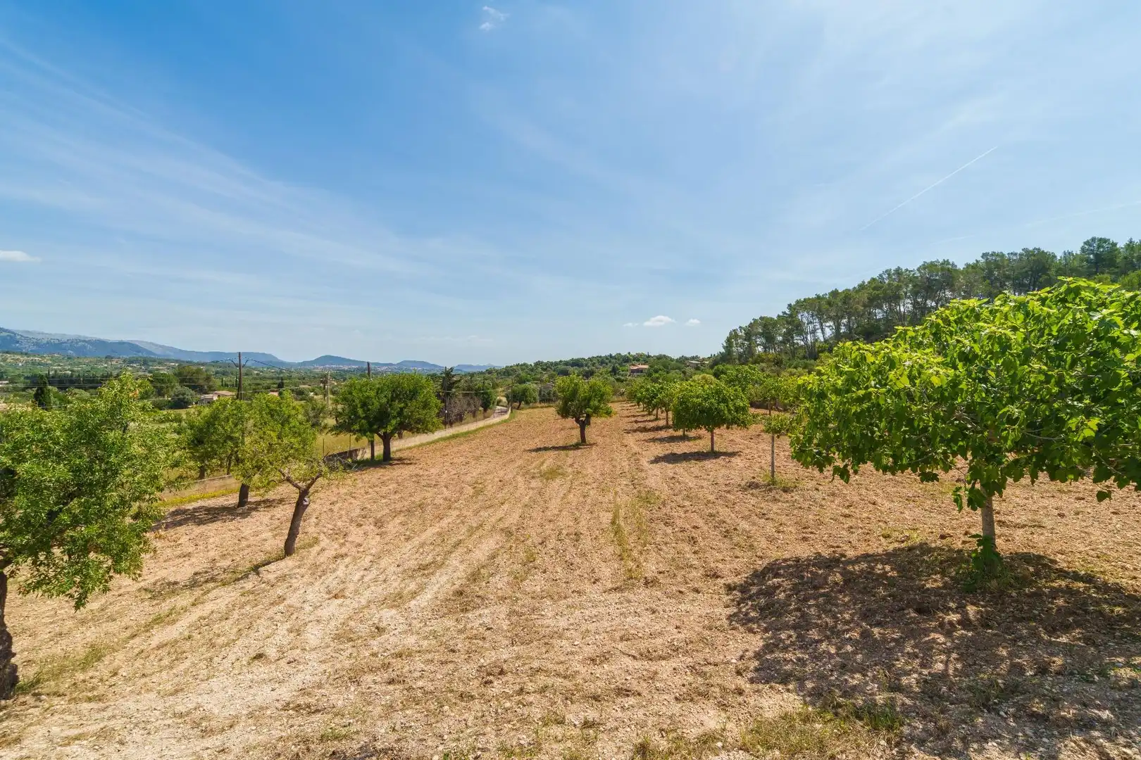 Finca rústica en venta en Selva con Jardín privado, Terraza y Trastero