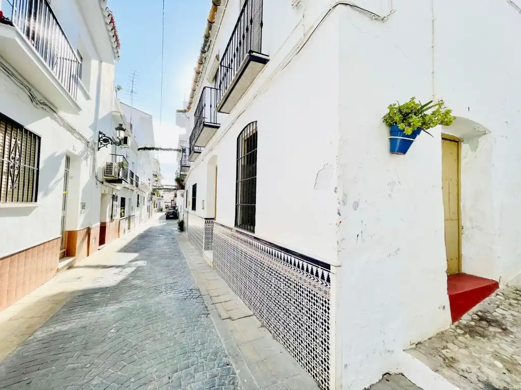 Vista exterior de Casa o chalet en venta en Torrox con Terraza