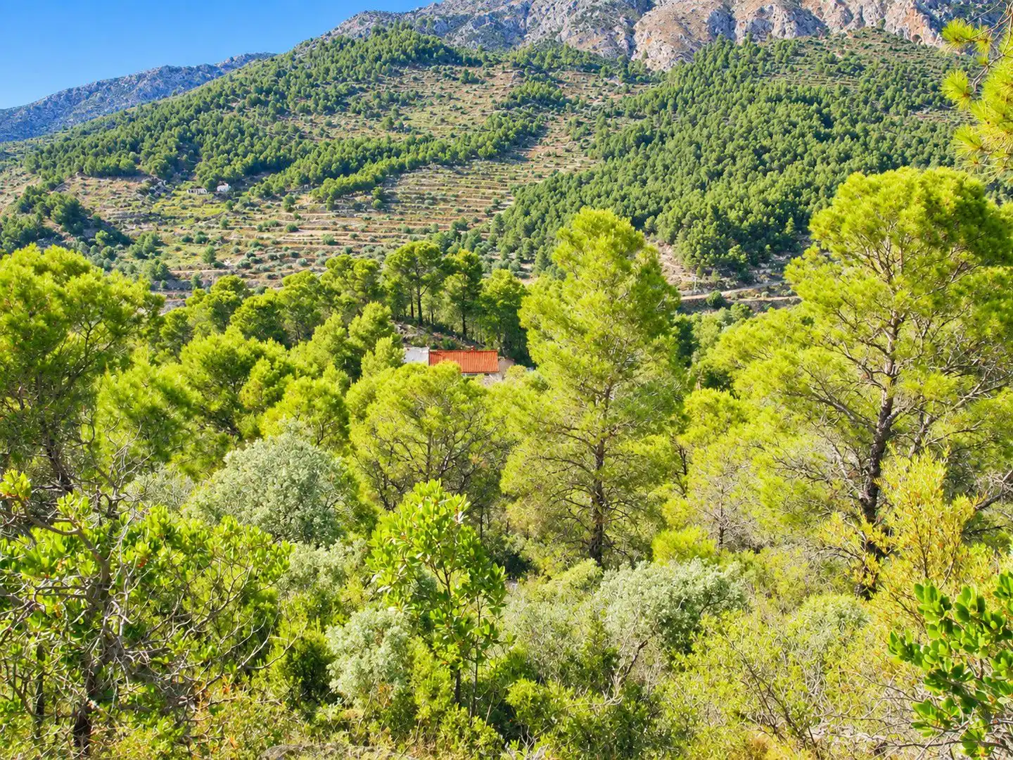 Finca rústica en venda en Sella