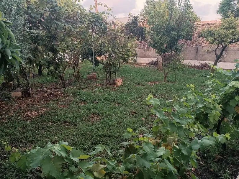 Maison avec jardin à vendre à Partida Sanadorlí 90, imagen 10