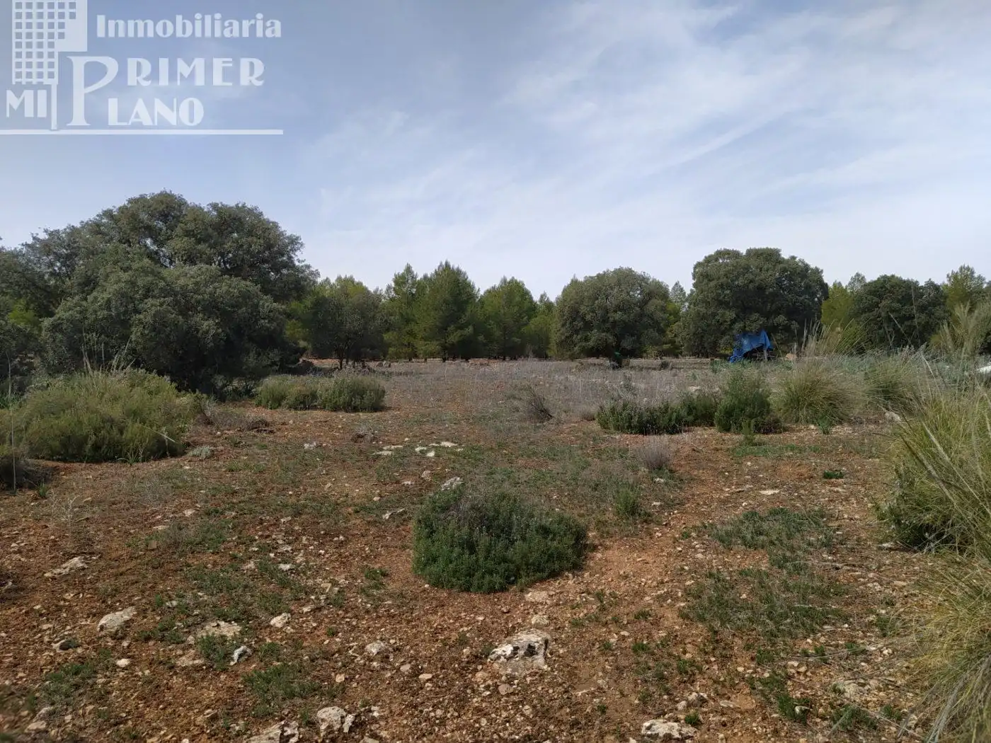 Finca rústica en venta en Socuéllamos