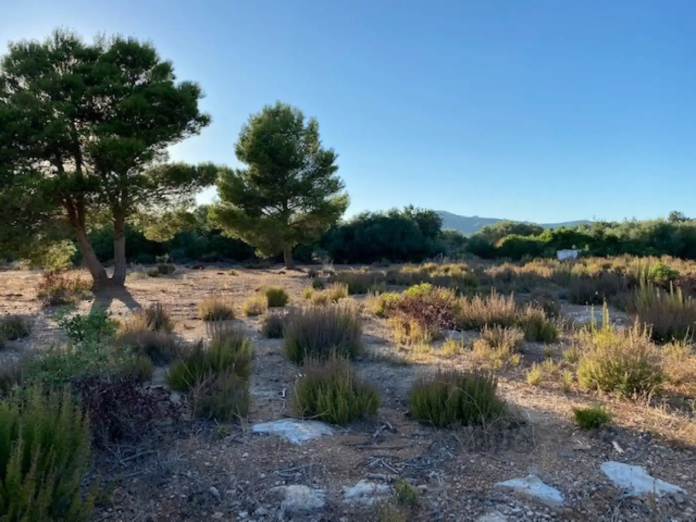 Country house with garden for sale in L'Ampolla, imagen 9