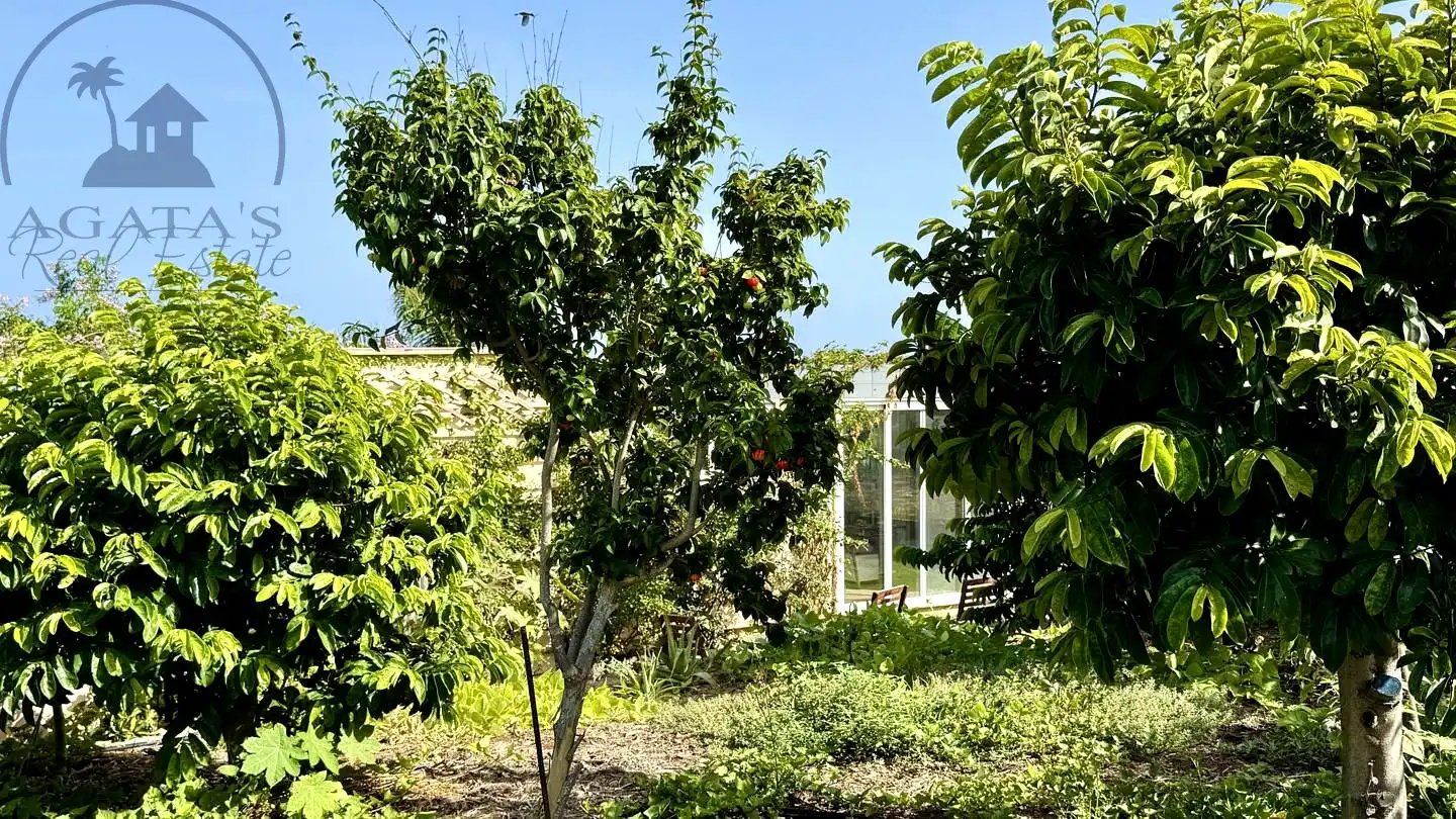 Jardí de Finca rústica en venda en Buenavista del Norte amb Jardí privat i Terrassa
