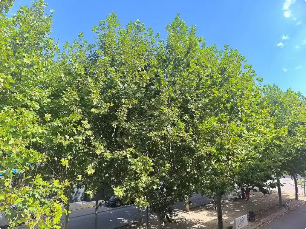 Vista exterior de Piso en venta en Bellreguard con Aire acondicionado, Terraza y Balcón